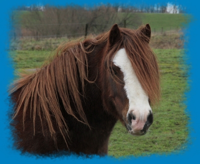 Klik op de foto voor het laatste nieuws!